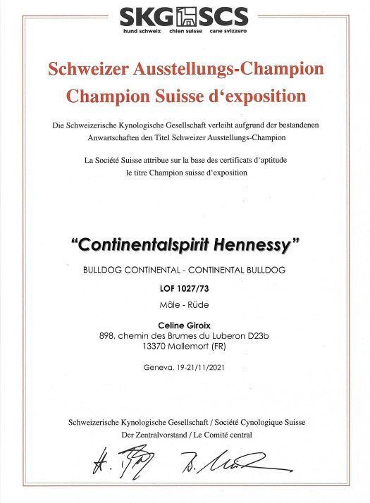 CH. continentalspirit Hennessy