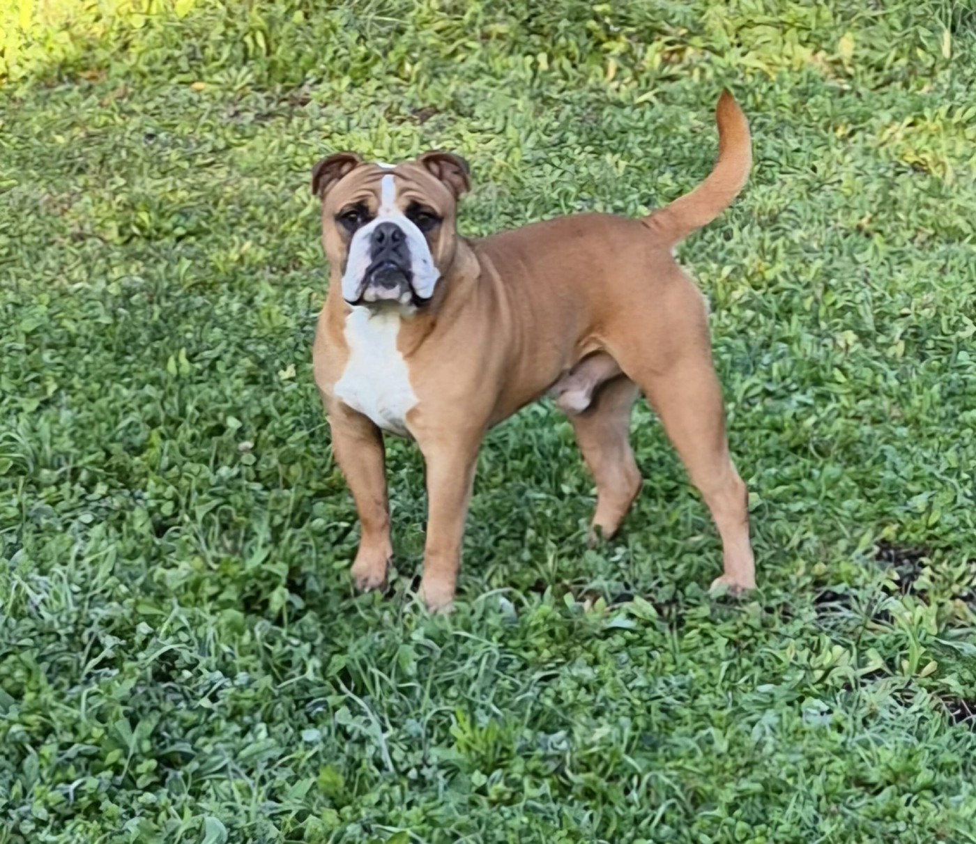 Solar symphony of life